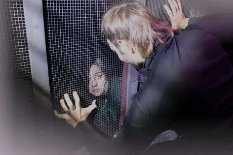 Экшн-игра «Прятки в иной реальности. Не дыши» от Doors2quest
